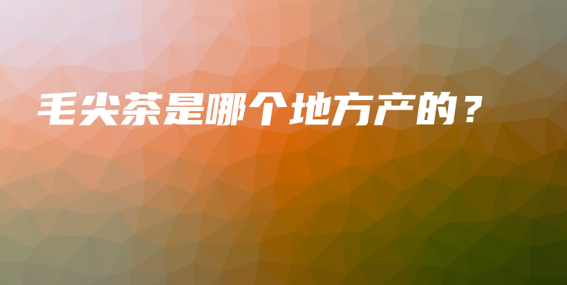 毛尖茶是哪個地方產(chǎn)的？插圖