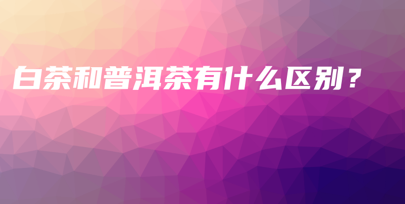 白茶和普洱茶有什么區(qū)別？插圖