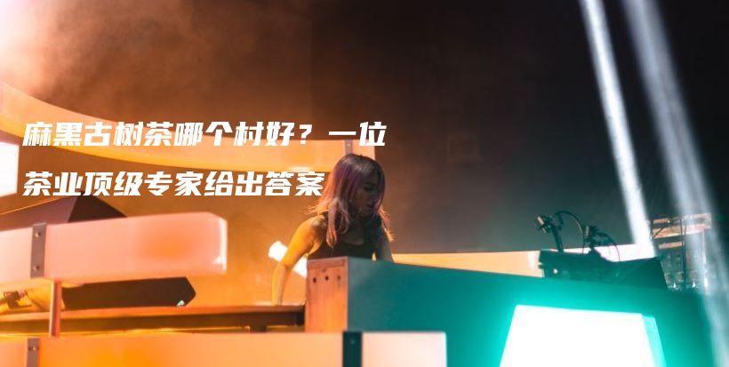 麻黑古樹茶哪個(gè)村好？一位茶業(yè)頂級(jí)專家給出答案插圖