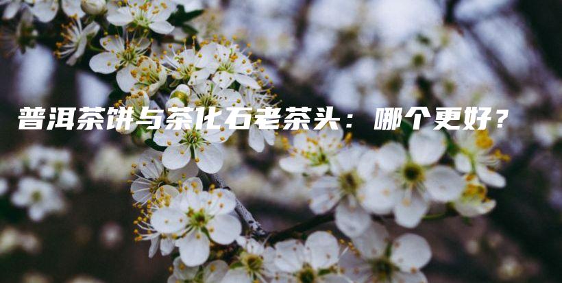 普洱茶餅與茶化石老茶頭：哪個(gè)更好？插圖