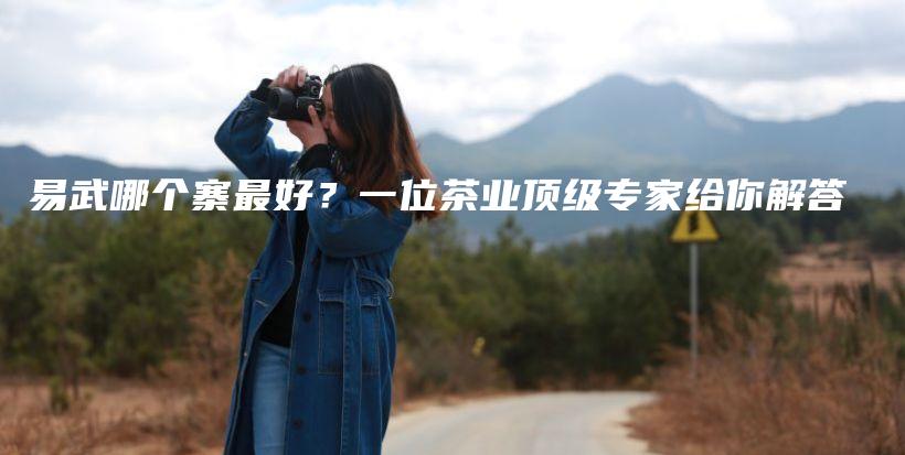易武哪個寨最好？一位茶業(yè)頂級專家給你解答插圖