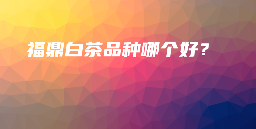 福鼎白茶品種哪個(gè)好？插圖