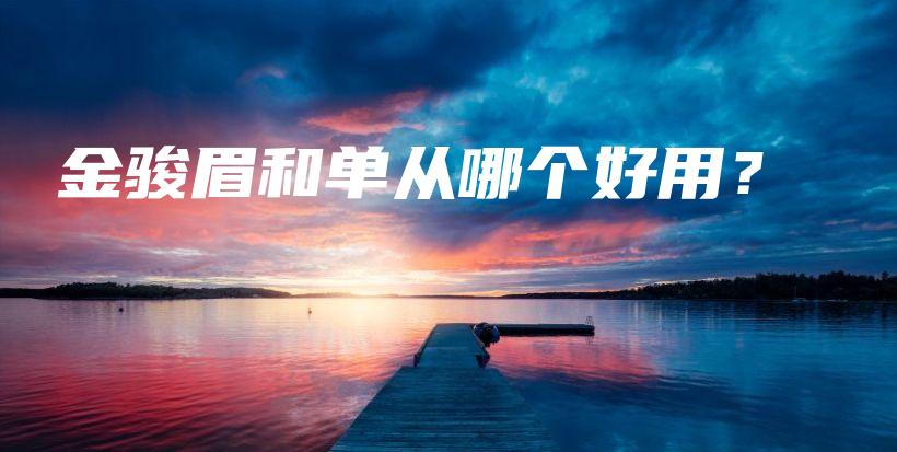 金駿眉和單從哪個好用？插圖