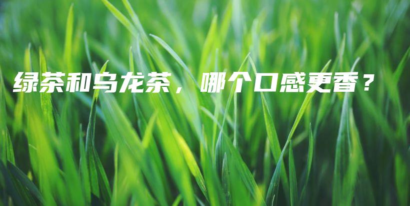 綠茶和烏龍茶，哪個(gè)口感更香？插圖