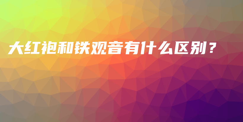 大紅袍和鐵觀音有什么區(qū)別？插圖