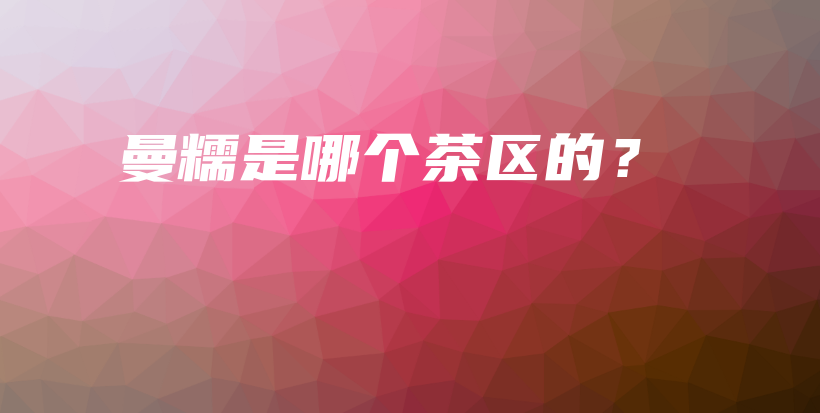 曼糯是哪個(gè)茶區(qū)的？插圖