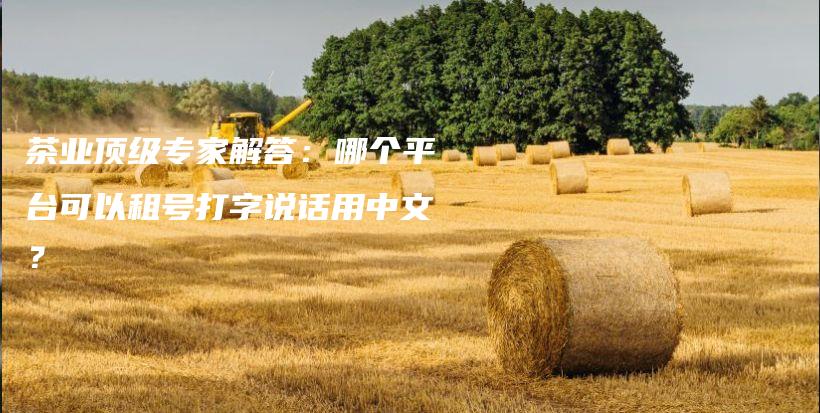 茶業(yè)頂級專家解答：哪個平臺可以租號打字說話用中文？插圖