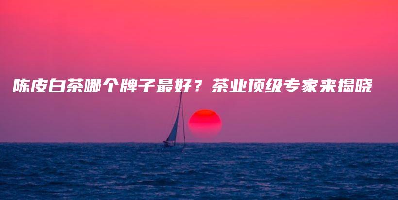 陳皮白茶哪個(gè)牌子最好？茶業(yè)頂級(jí)專(zhuān)家來(lái)揭曉插圖