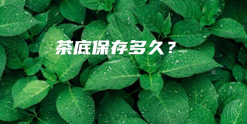 茶底保存多久？插圖