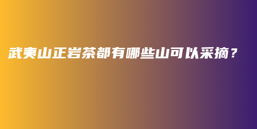 武夷山正巖茶都有哪些山可以采摘？插圖