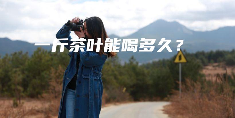 一斤茶葉能喝多久？插圖