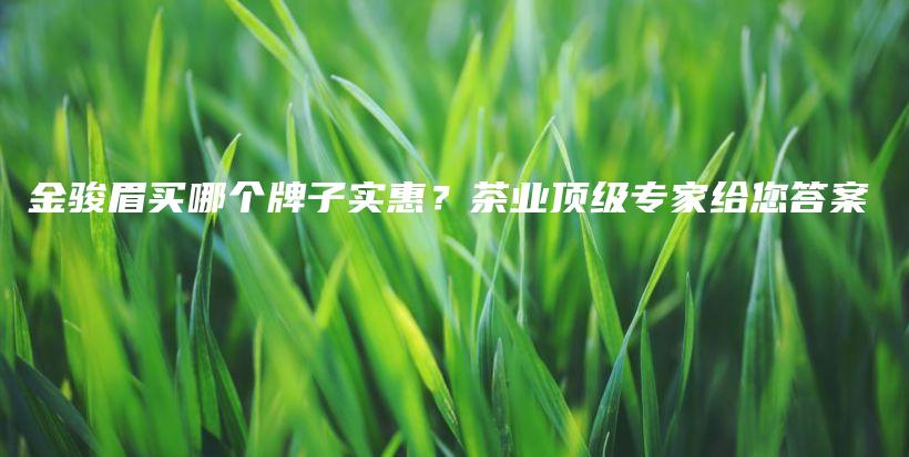 金駿眉買哪個牌子實惠？茶業(yè)頂級專家給您答案插圖