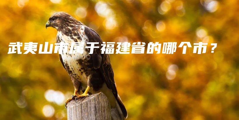 武夷山市屬于福建省的哪個市？插圖