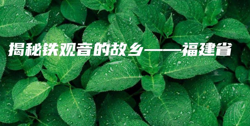 揭秘鐵觀音的故鄉(xiāng)——福建省插圖