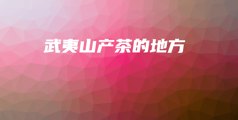 武夷山產茶的地方插圖