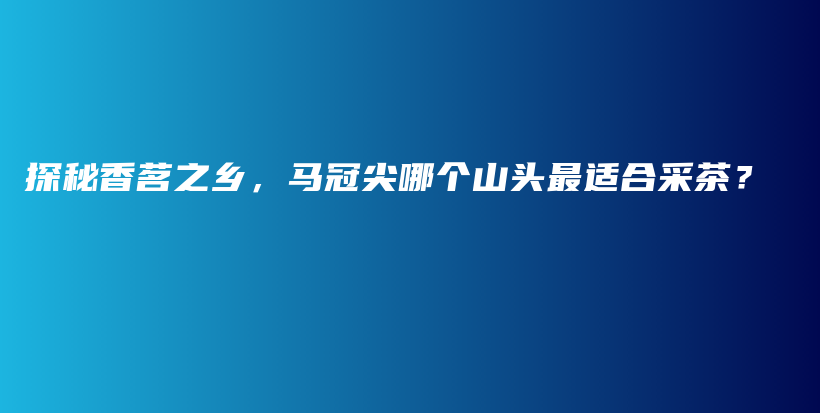 探秘香茗之鄉(xiāng)，馬冠尖哪個山頭最適合采茶？插圖