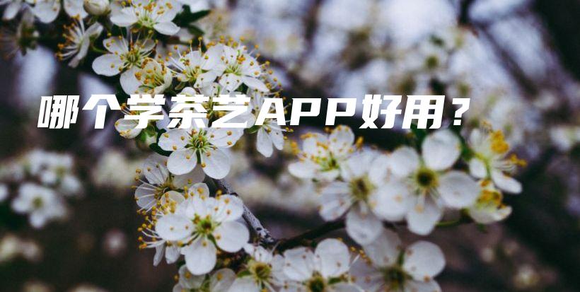 哪個學(xué)茶藝APP好用？插圖