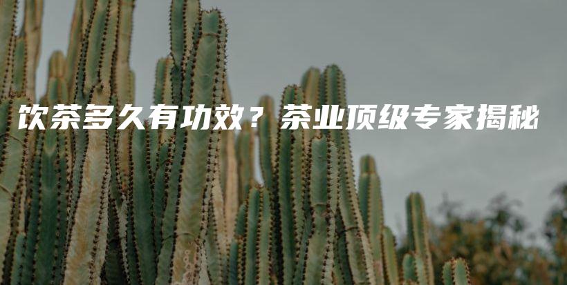 飲茶多久有功效？茶業(yè)頂級專家揭秘插圖