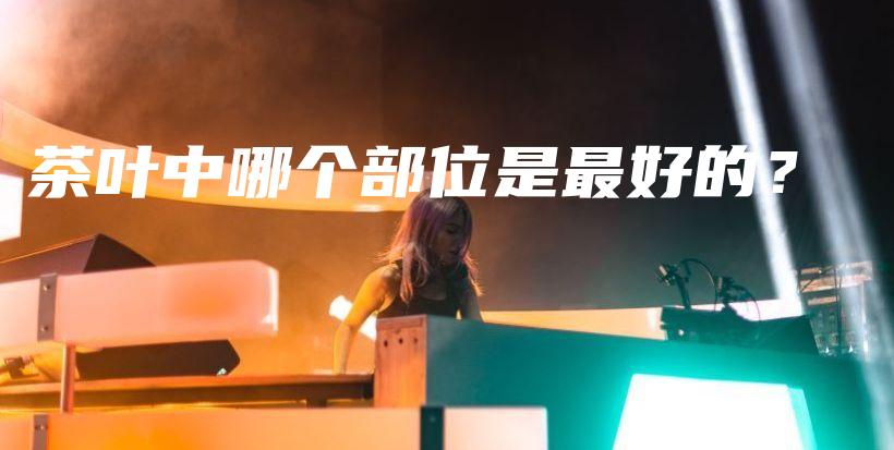 茶葉中哪個(gè)部位是最好的？插圖