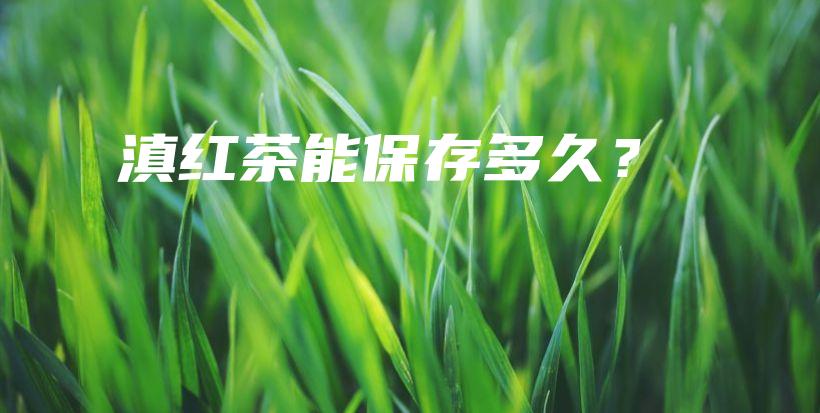 滇紅茶能保存多久？插圖