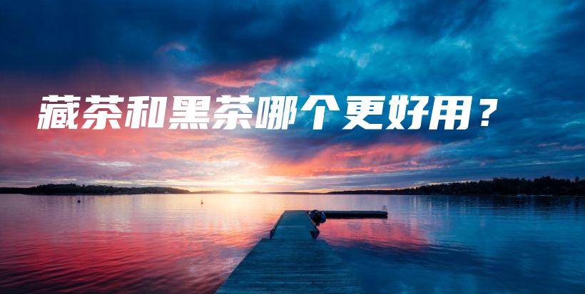 藏茶和黑茶哪個更好用？插圖