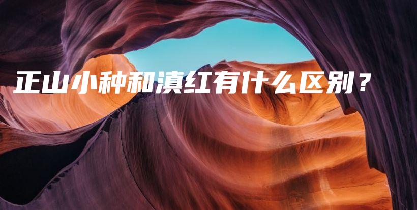 正山小種和滇紅有什么區(qū)別？插圖