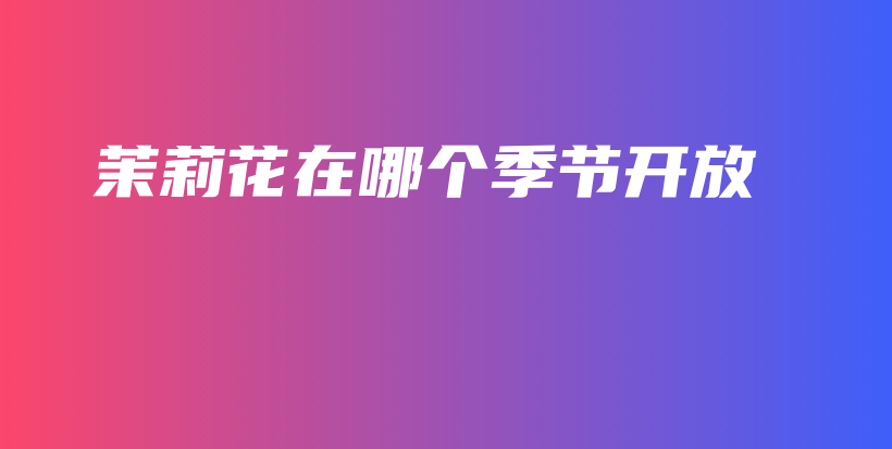 茉莉花在哪個(gè)季節(jié)開(kāi)放插圖