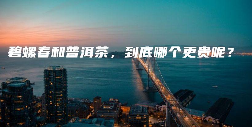 碧螺春和普洱茶，到底哪個更貴呢？插圖