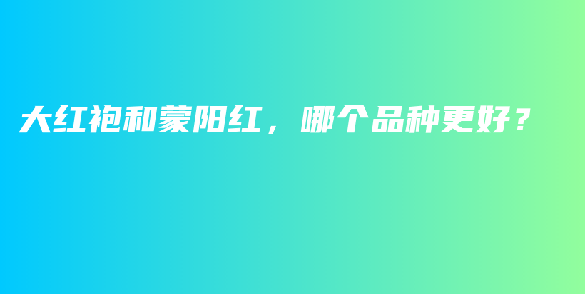 大紅袍和蒙陽紅，哪個(gè)品種更好？插圖