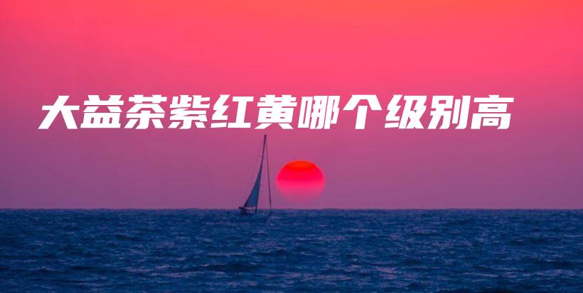 大益茶紫紅黃哪個(gè)級(jí)別高插圖