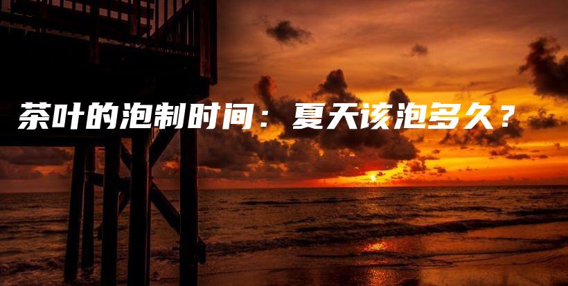 茶葉的泡制時間：夏天該泡多久？插圖