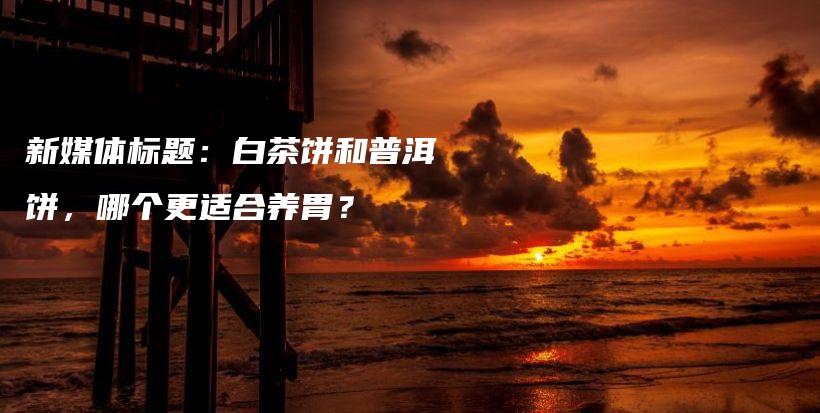 新媒體標(biāo)題：白茶餅和普洱餅，哪個(gè)更適合養(yǎng)胃？插圖