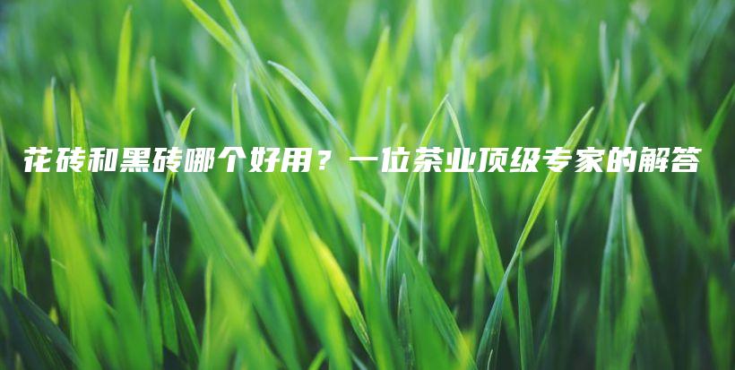 花磚和黑磚哪個好用？一位茶業(yè)頂級專家的解答插圖