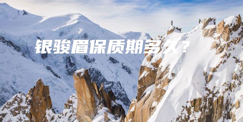 銀駿眉保質(zhì)期多久？插圖