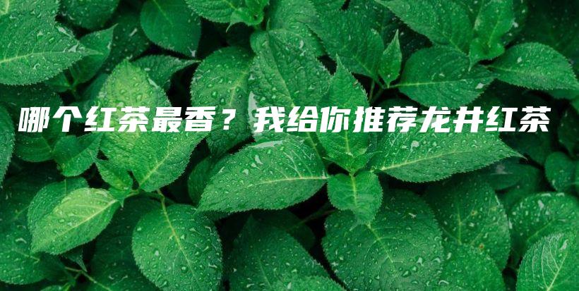 哪個紅茶最香？我給你推薦龍井紅茶插圖