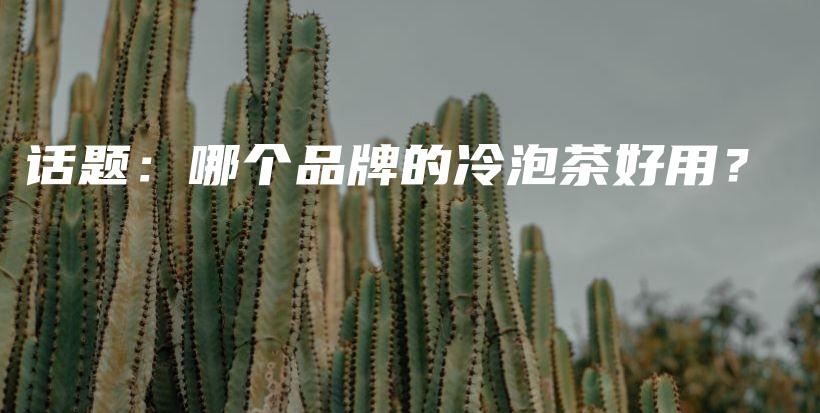 話題：哪個(gè)品牌的冷泡茶好用？插圖