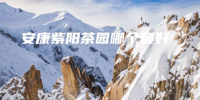 安康紫陽茶園哪個最好插圖