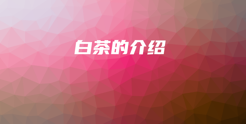 白茶的介紹插圖