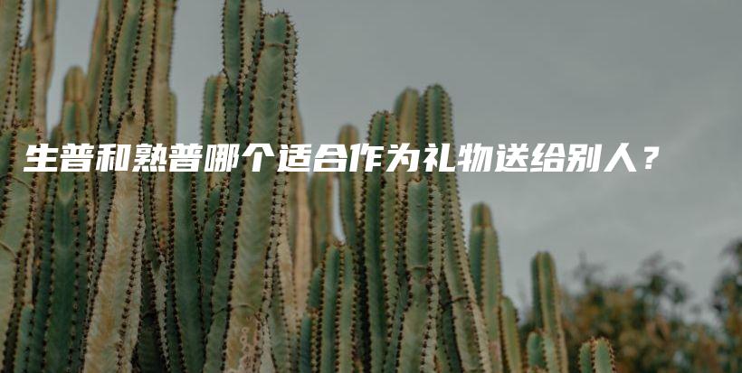 生普和熟普哪個適合作為禮物送給別人？插圖