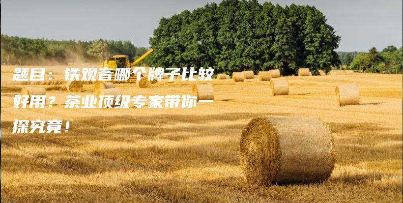 題目：鐵觀音哪個牌子比較好用？茶業(yè)頂級專家?guī)阋惶骄烤?！插圖