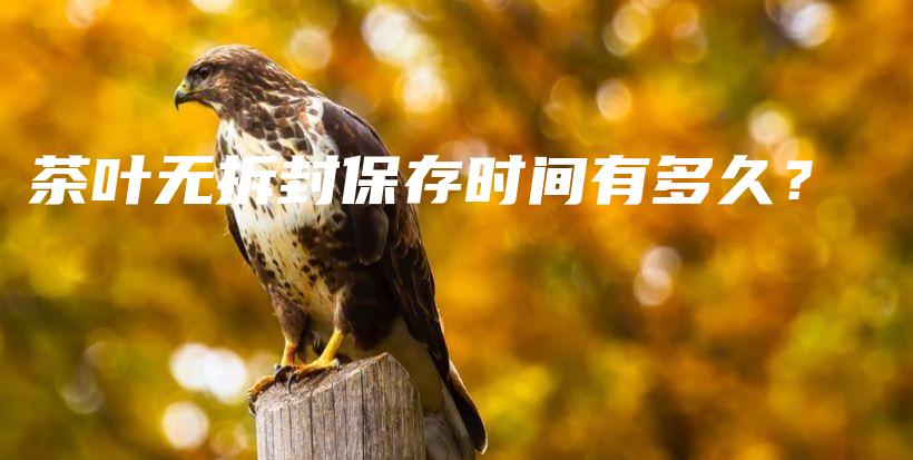 茶葉無拆封保存時間有多久？插圖