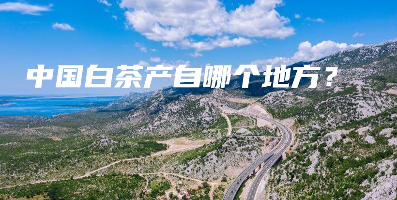 中國(guó)白茶產(chǎn)自哪個(gè)地方？插圖