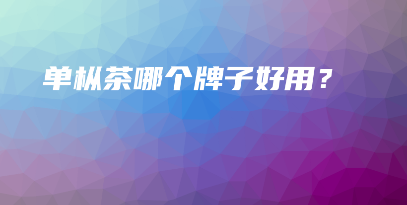 單樅茶哪個牌子好用？插圖