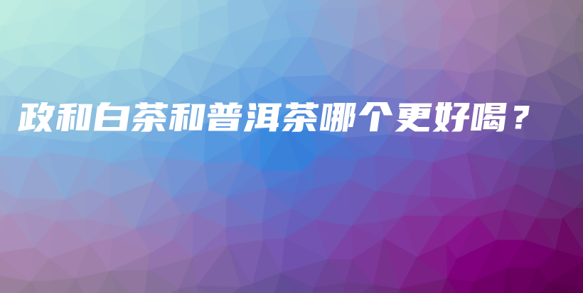 政和白茶和普洱茶哪個更好喝？插圖