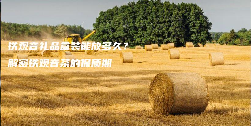 鐵觀音禮品盒裝能放多久？解密鐵觀音茶的保質期插圖