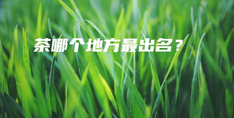 茶哪個地方最出名？插圖