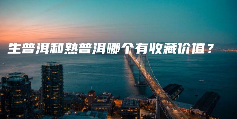 生普洱和熟普洱哪個有收藏價值？插圖