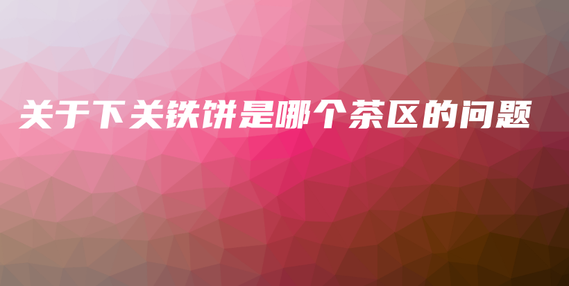 關(guān)于下關(guān)鐵餅是哪個(gè)茶區(qū)的問(wèn)題插圖