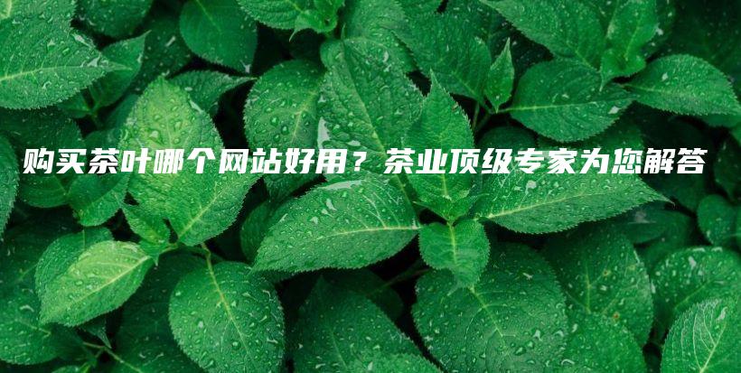 購(gòu)買茶葉哪個(gè)網(wǎng)站好用？茶業(yè)頂級(jí)專家為您解答插圖