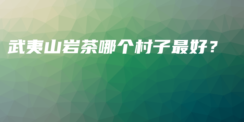 武夷山巖茶哪個村子最好？插圖